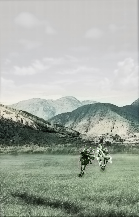 1482391934377065750.jpg