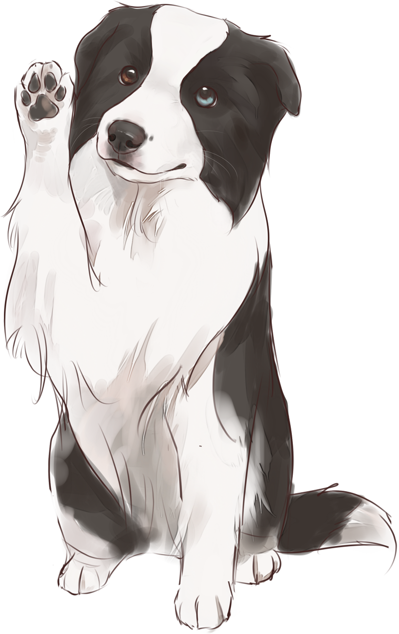 dog.png