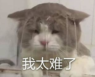 图片一.jpg